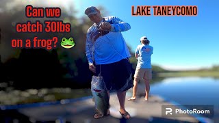 WE TRY'IN TO CATCH A 30LB BAG OF BASS! Lake Taneycomo fun fishing for Bass! 8/10/23