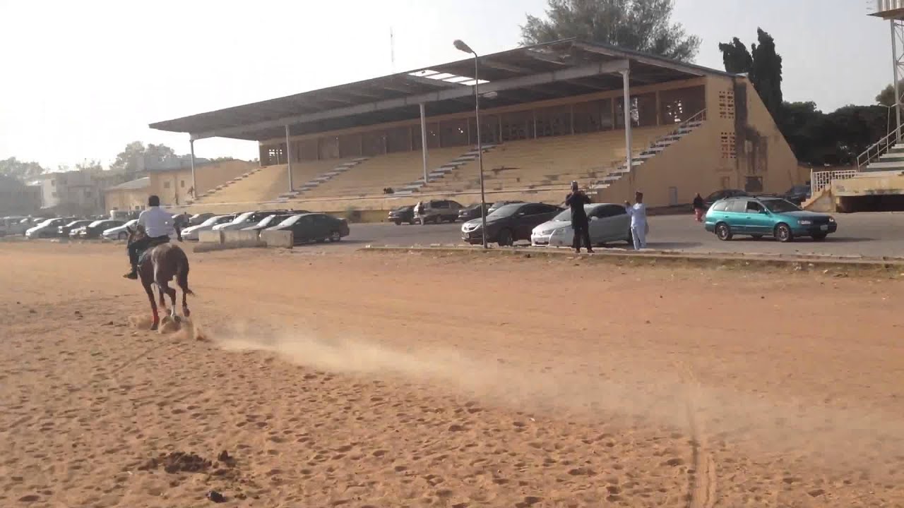 Nigerian horse YouTube