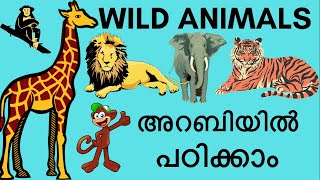 Wild animals in Arabic and Malayalam