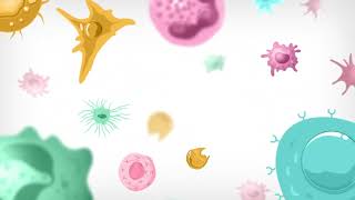 Decoding the Immune System with AI | How Immunai is Building an AI Model of the Immune System