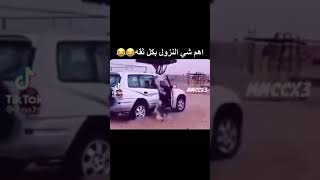 تحبون الكلاب ولا قطط؟