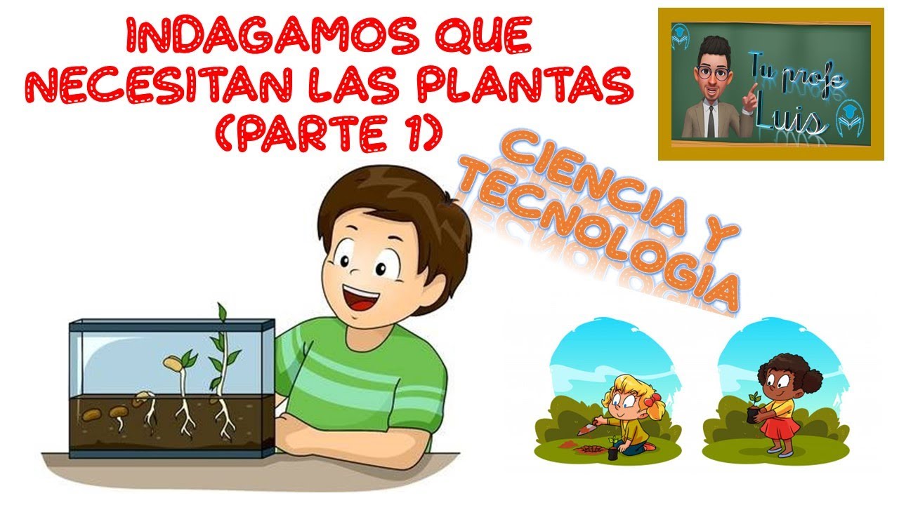 Que necesitan las plantas para vivir