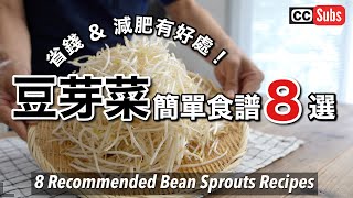 Special Features on Bean Sprouts / Good for saving money & diet! 8 dishes of bean sprouts