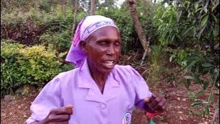 Jeiso-Jeiso by Ann Kenduiywo