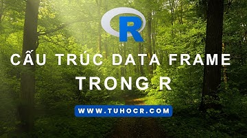 CẤU TRÚC DATA FRAME TRONG R