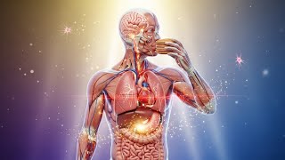 What Happens Inside Your Body After Eating A Pancake? A Cinematic Journey Within