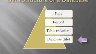 CP102 Database Introduction