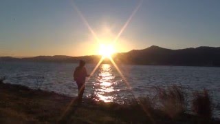 答えの見つからない旅　琵琶湖のデカバスは今どこで何してる？