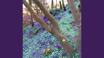 Variable Gravity Scale