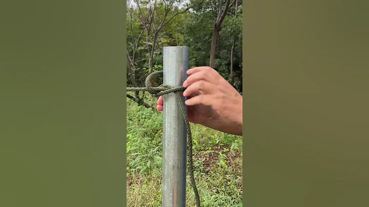 I Trust This Knot —Quick, Easy, Reliable!