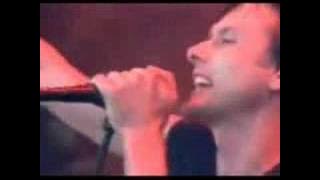 Download lagu suede-suede-she's in fashion(live)