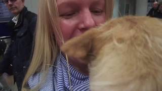 Gobi meets Mum - Pupdate 14th November 2016