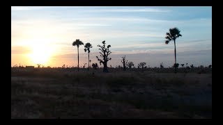 "Kaira Ba (The Great Peace)" Documentary by Marina Poole