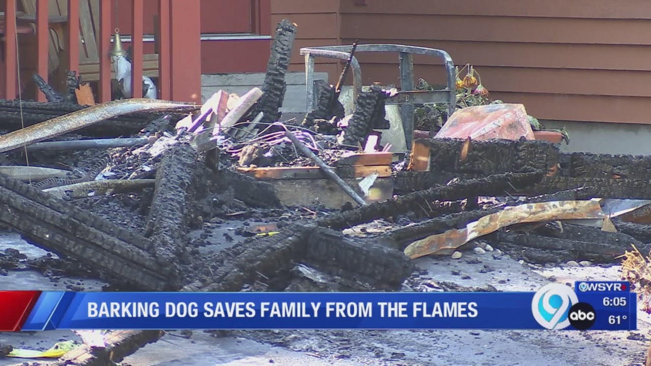 Dog alerts homeowners to fire in Van Buren - YouTube