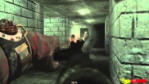 Call of Duty WaW custom zombies rise part 1