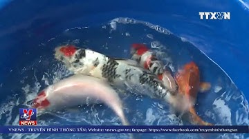 CLIP Làng sản xuất “phương tiện chầu trời” của ông Công ông Táo