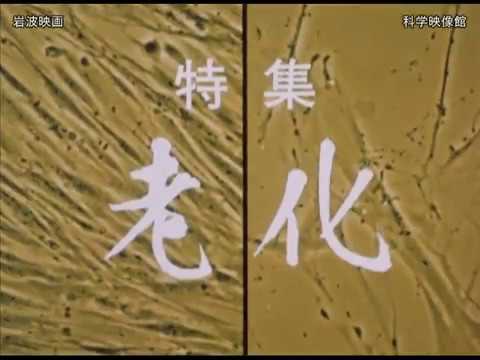 テレビ医学研究講座　特集 老化　第二十三話 内分泌代謝の老化と病気 監修：折茂肇