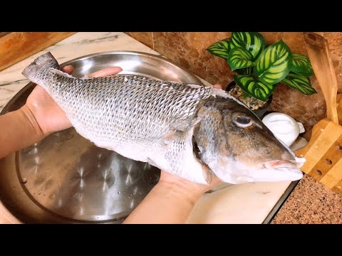 طريقة عمل سمك شعور سنجاري وزن ٢ كيلو ونص في الفرن