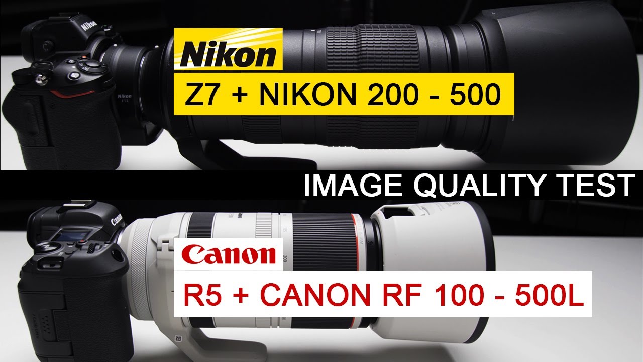 Nikon Z7 VS Canon R5 Nikon 200 500 VS Canon RF 100 500 L