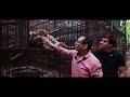 Entrevista a Sergio Gómez Olivier | Club de los animalitos