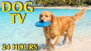 Dog TV 24/7: Relaxing Dog Music for Anxiety Relief, Home Alone Comfort & Dog Entertainment screenshot 5