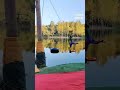 The trapeze can't stop the rhythm!# Swing on the water# Watch and laugh again_翻转_水平