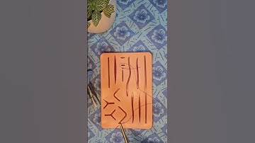 Continuous interlocking sutures.  @TheSculptSurgeon