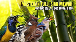 Download Lagu MASTERAN MURAI BATU FULL ISIAN TEMBAKAN MEWAH MP3