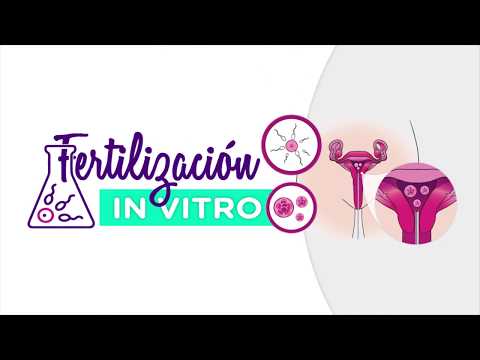 Video: Seksuaalimuodot, Jotka On Saatu Jatkuvassa In Vitro Viljellyssä Kolumbian Plasmodium Falciparum -kannassa (FCB2)