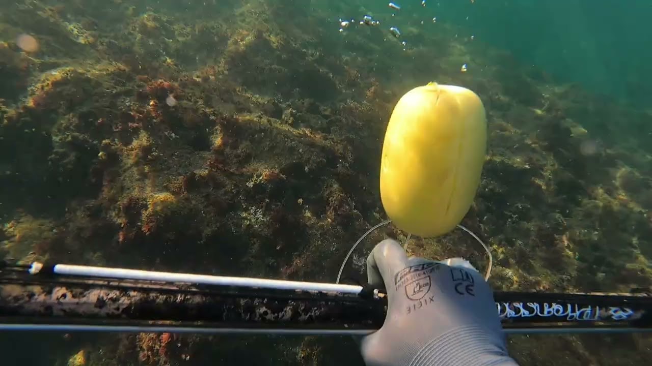 Exploration d'un nouveau site de plongée / Exploring a new diving spot / استكشاف موقع غوص جديد