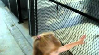Visiting The SPCA