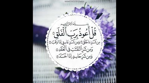 حالات واتس اب دينيه // سورة الفلق || الوصف 🤗👇||