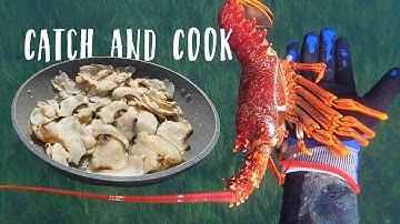 I MADE FRIENDS WITH A LOBSTER!! FREE DIVING FOR LOBSTER AND ABALONE CATCH AND COOK