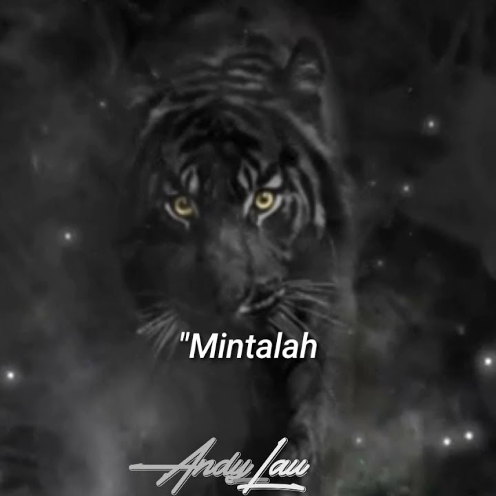 STORY WA 30 DETIK MACAN PUTIH 🔥lir Ilir sunan Kalijaga