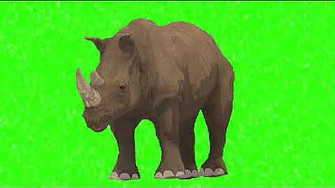 Animal green screen video  | running stampede no copyright 3d stories | all animals | cow dog
