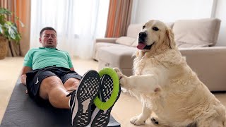 The Best Workout Exercises from a Golden Retriever's Coach [Try Not To Laugh]