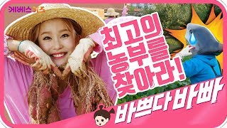 [KBS TV유치원] 바쁘다바빠 직업탐험｜지니｜농부 2편｜이 시대 최고의 농부는 과연 누구?!
