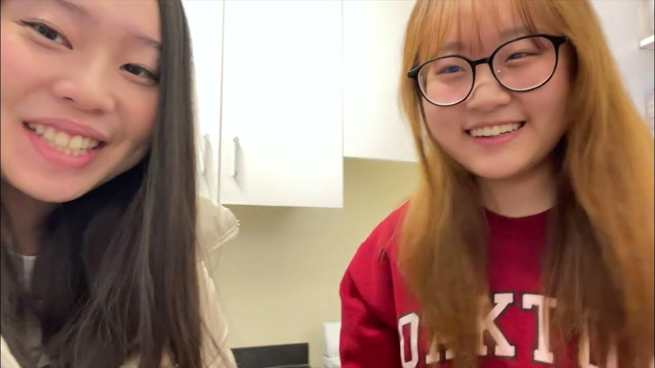 northwestern move out + upenn and nyu vlog winter break pt.1 YouTube