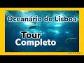 2019 Oceanário de Lisboa -  Lisbon Aquarium