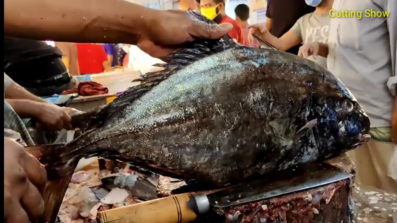 Pemotongan Ikan Trevally Hitam Besar Di Pasar Ikan Bangladesh