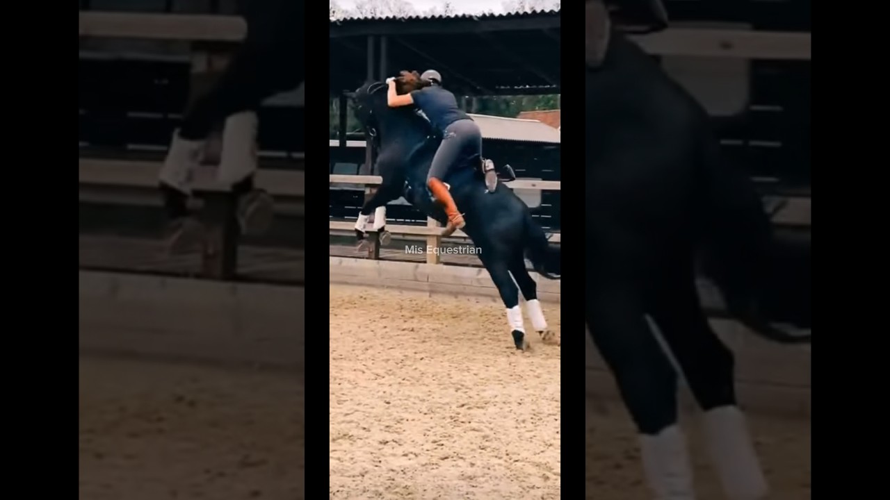 Why equestrians are good at the mechanical bulls! 