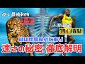 チーターとウサインボルトの走り方を徹底解明!