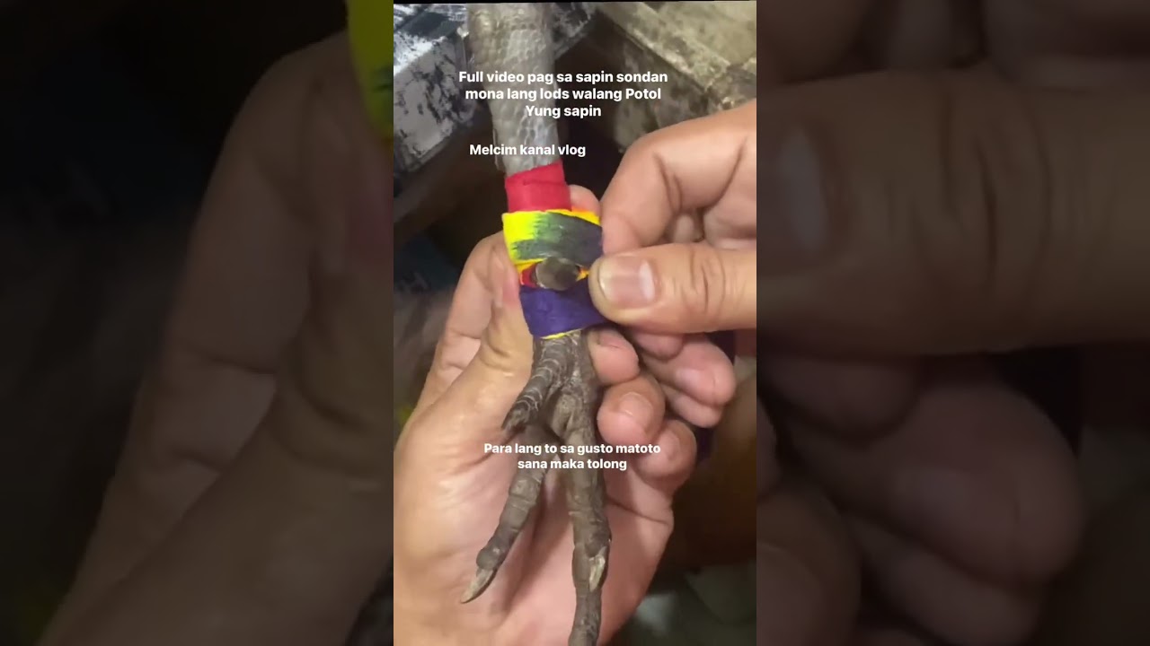 Full video pagsasapin tare 