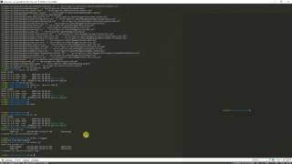 How to run uMMORPG using screen