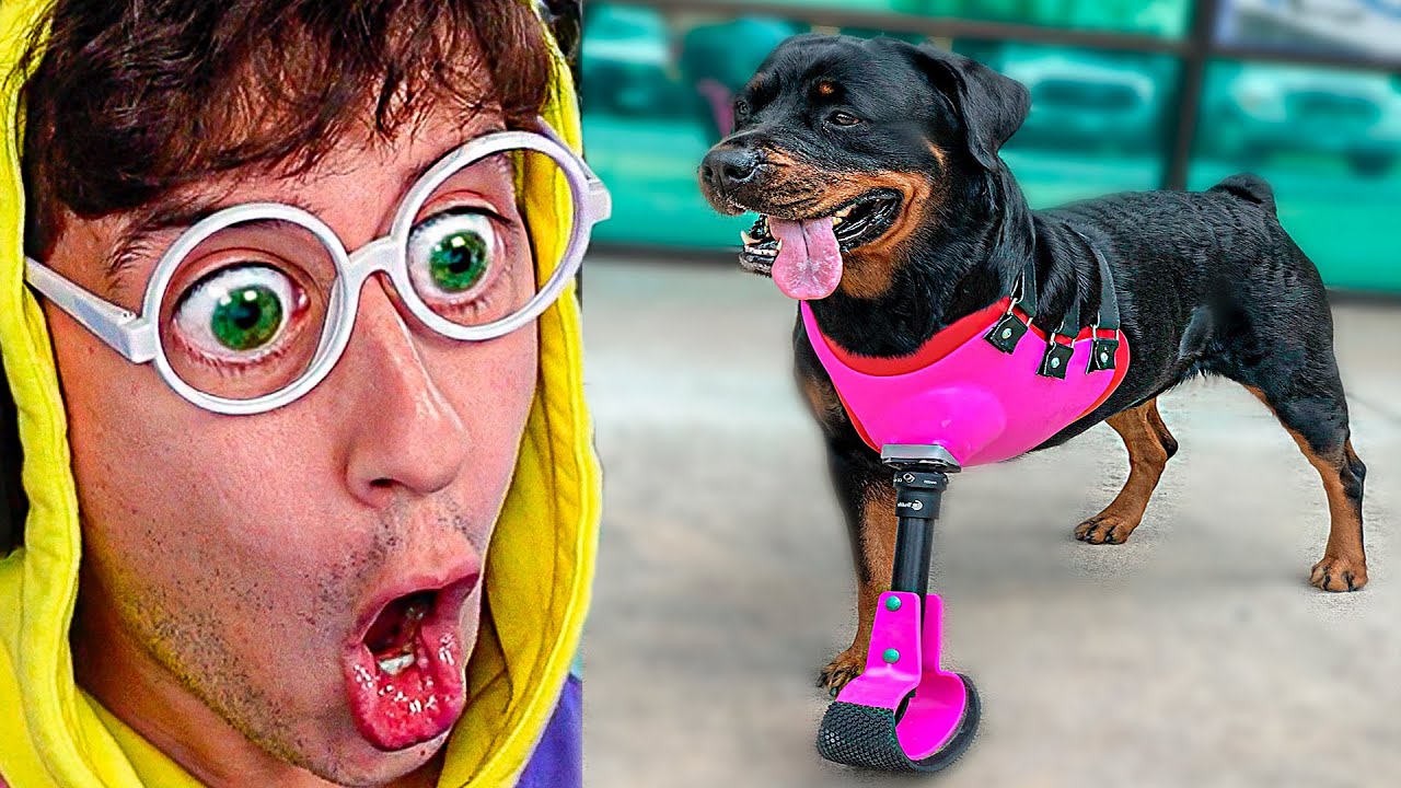 COSAS QUE NO SABÍAS HACE 5 MINUTOS #24 - tekendo reaccionando