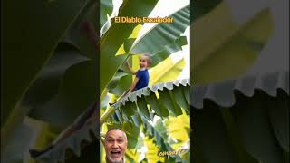 El Diablo Escalador #viral #trending #funny #Shortsviral #parati