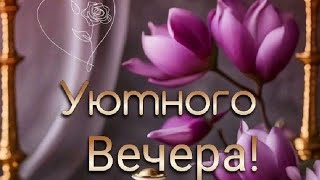 Пусть Вечер Подарит Уют И Покой💖😊 Уютного Вечера💜💙