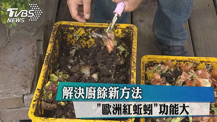 解決廚餘新方法 "歐洲紅蚯蚓"功能大 - 天天要聞