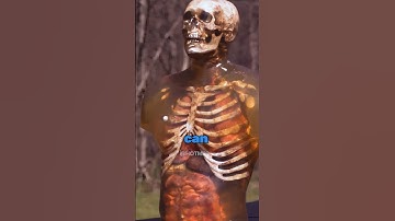 The Non-Lethal Gun That Drops Intruders 😳🔫