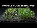 Biggest mistake when thinning seedlings
